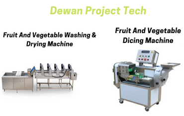Fruit And Vegetable Washing & Drying Machine